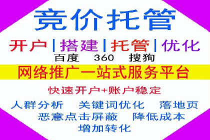 百度平台推广：成功案例解析与效果分析